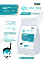 ⁦ساکارومیسس بولاردي الخاص بالطيور⁩ - الصورة ⁦2⁩