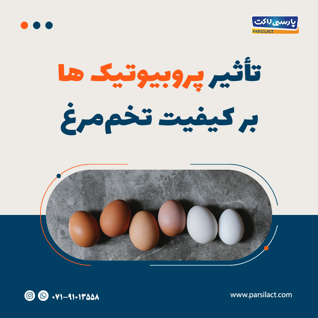 تأثیر پروبیوتیک¬ها بر کیفیت تخم‌مرغ